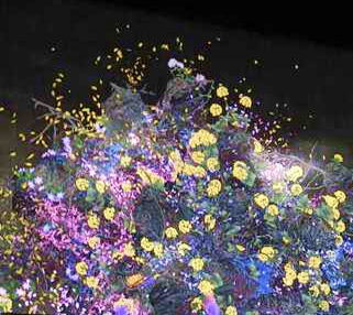 アートサイエンス・ミュージアム(チームラボ)